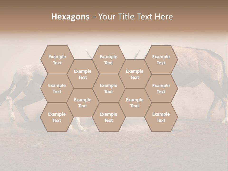 Gazella Antelope Movement PowerPoint Template