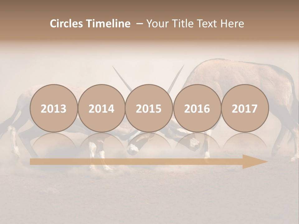 Gazella Antelope Movement PowerPoint Template