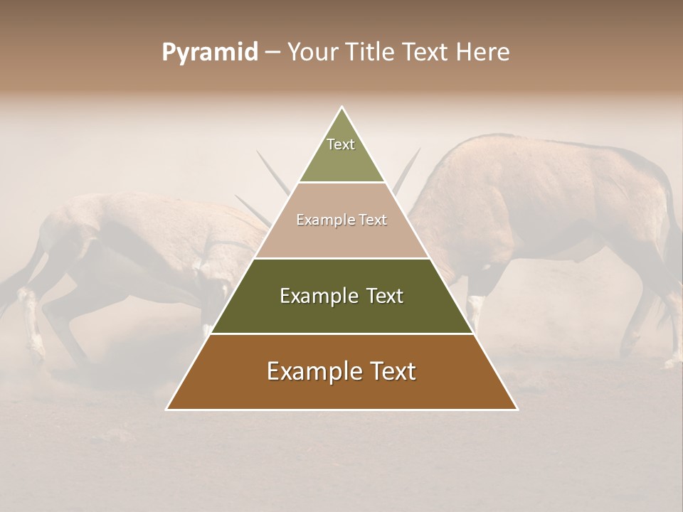 Gazella Antelope Movement PowerPoint Template