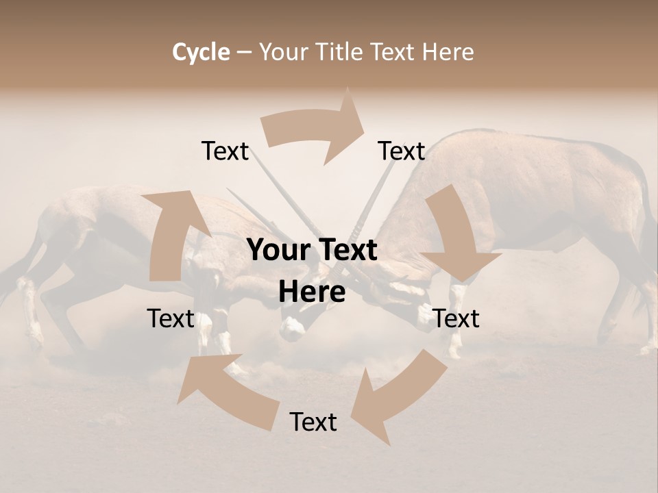 Gazella Antelope Movement PowerPoint Template
