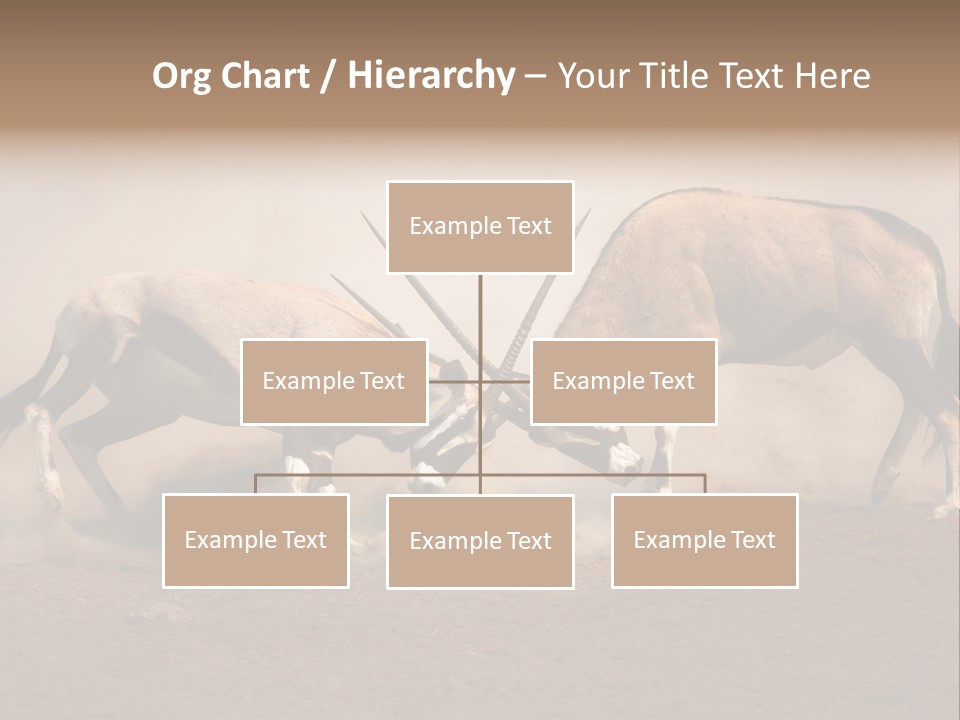 Gazella Antelope Movement PowerPoint Template