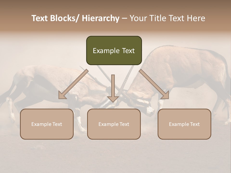 Gazella Antelope Movement PowerPoint Template