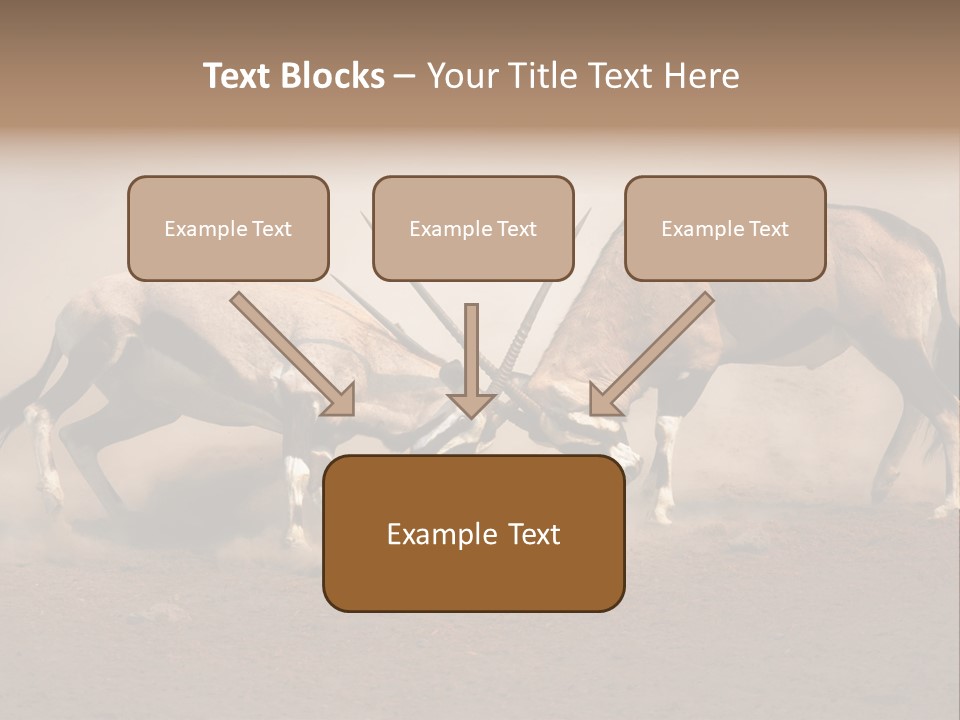 Gazella Antelope Movement PowerPoint Template