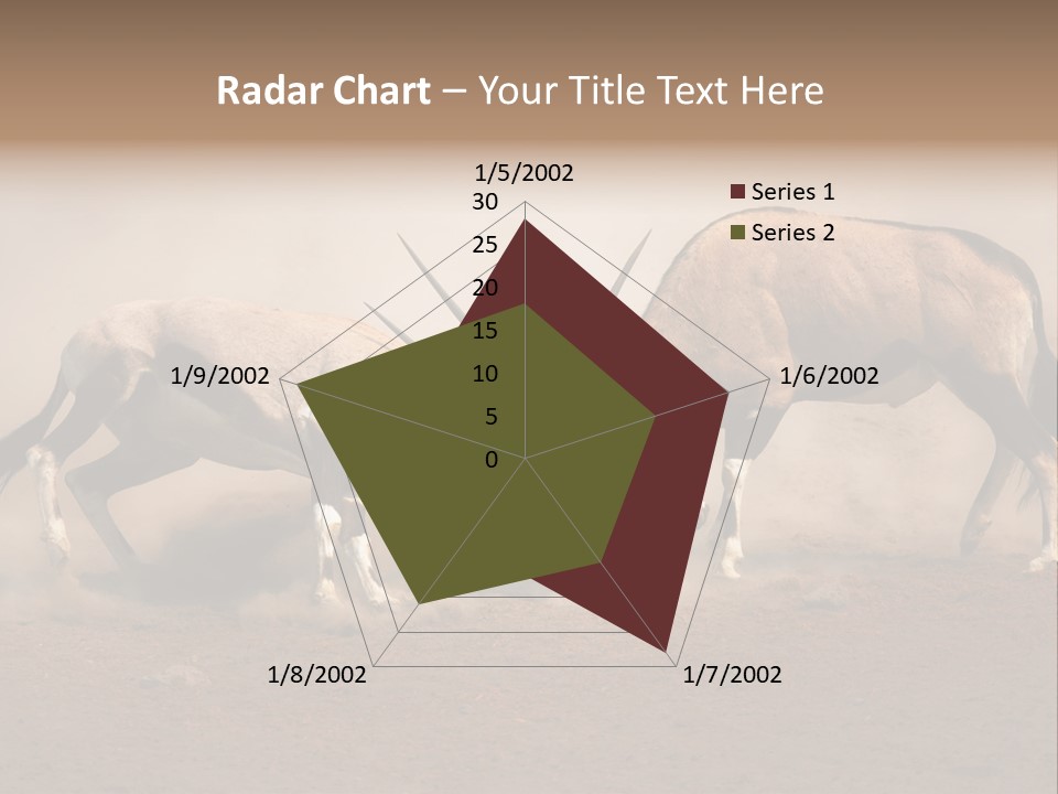 Gazella Antelope Movement PowerPoint Template