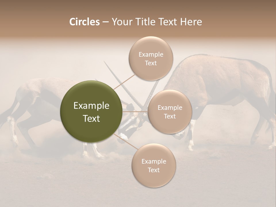 Gazella Antelope Movement PowerPoint Template