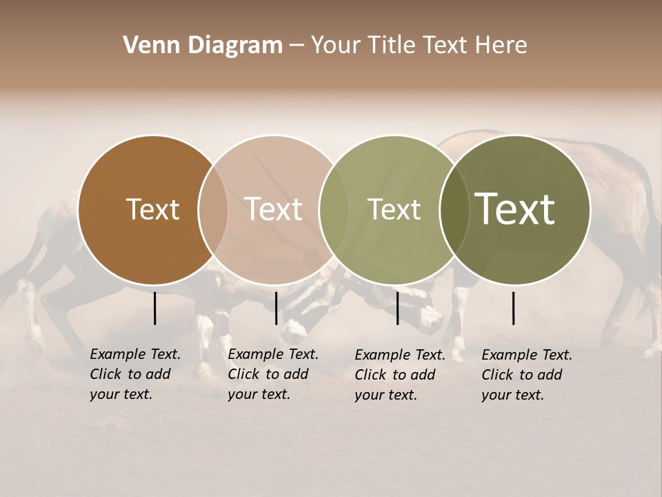 Gazella Antelope Movement PowerPoint Template