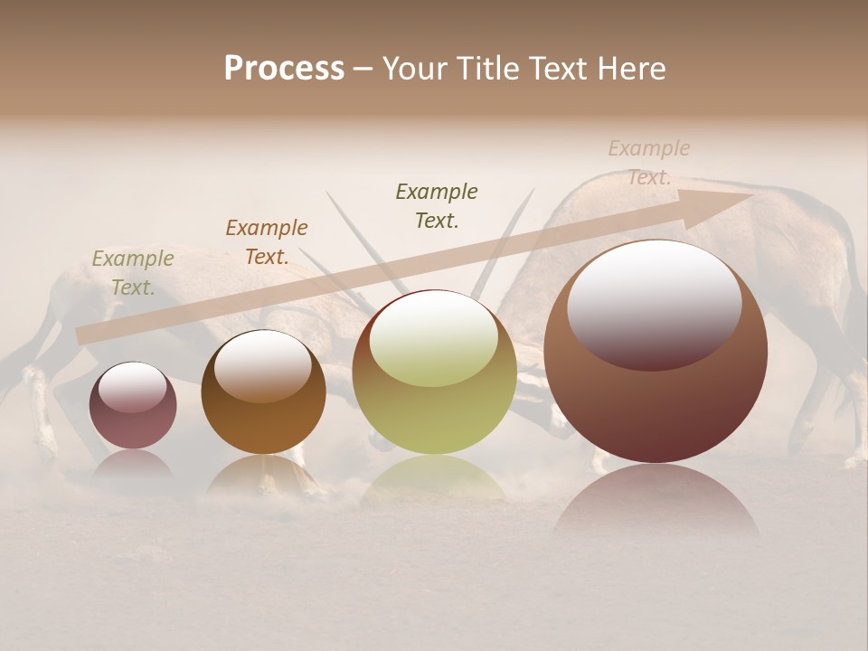 Gazella Antelope Movement PowerPoint Template