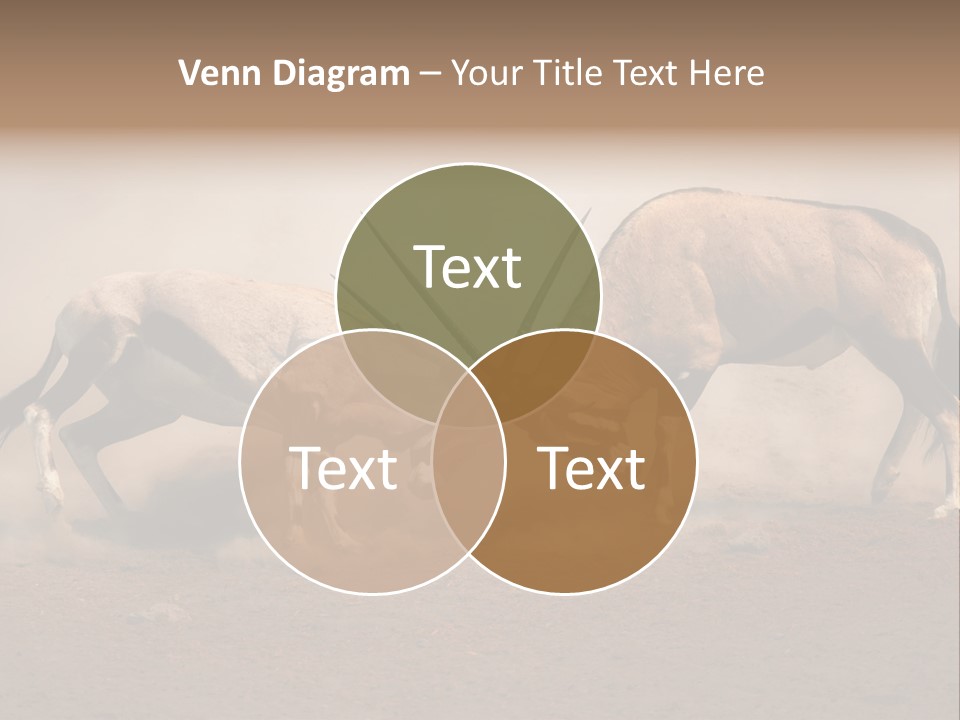 Gazella Antelope Movement PowerPoint Template