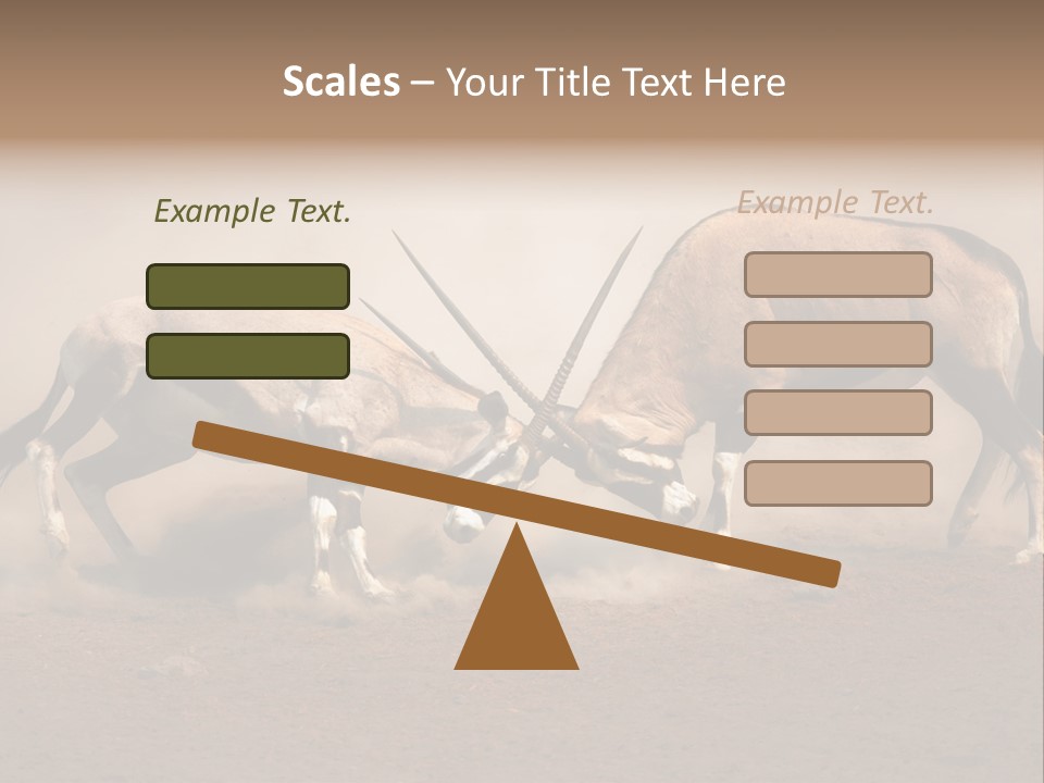 Gazella Antelope Movement PowerPoint Template