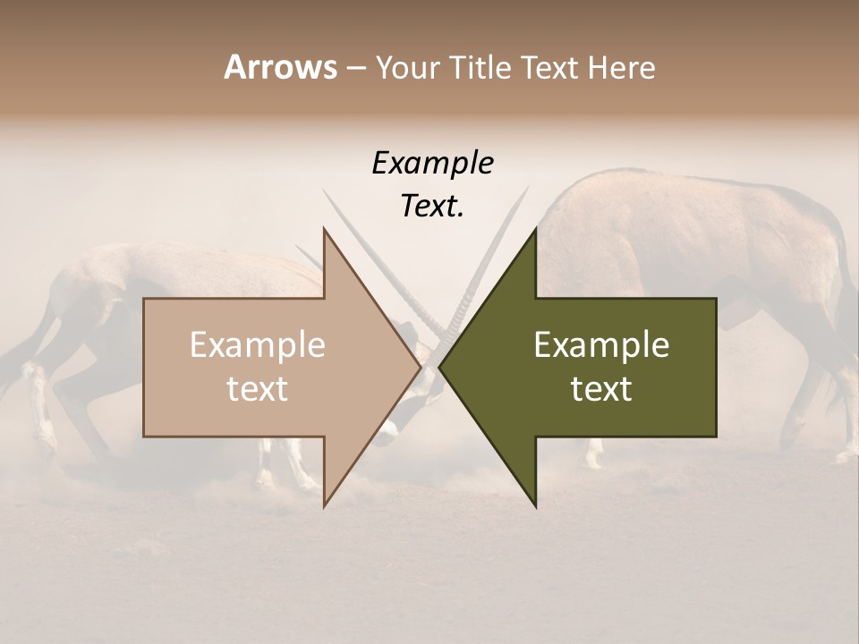 Gazella Antelope Movement PowerPoint Template