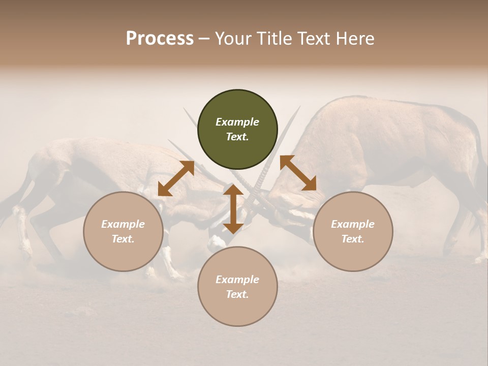 Gazella Antelope Movement PowerPoint Template