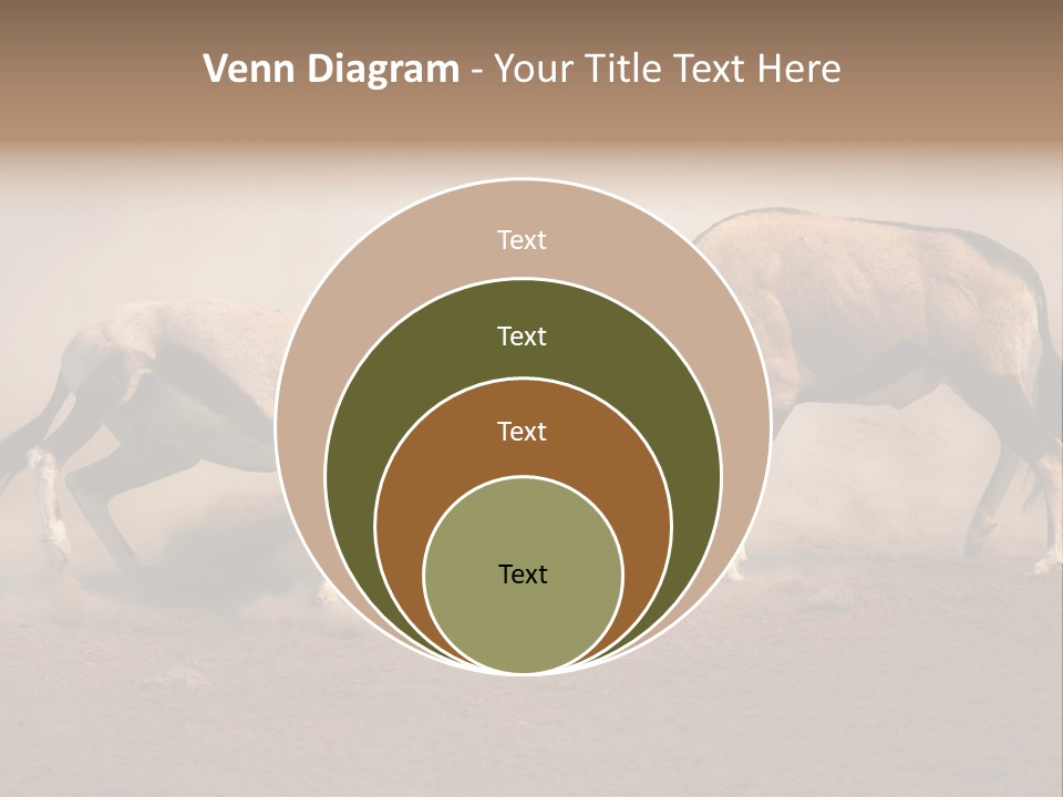 Gazella Antelope Movement PowerPoint Template