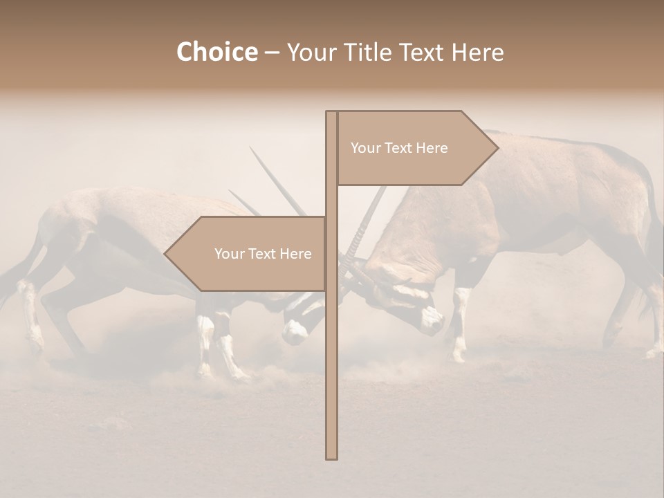 Gazella Antelope Movement PowerPoint Template