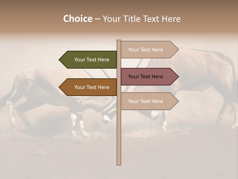Gazella Antelope Movement PowerPoint Template