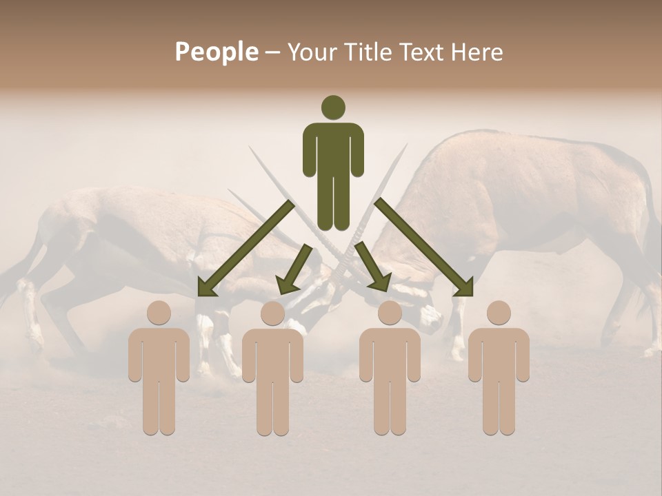 Gazella Antelope Movement PowerPoint Template