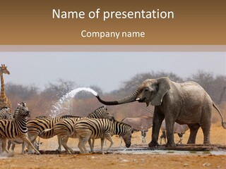 Playing Giraffe Blow PowerPoint Template