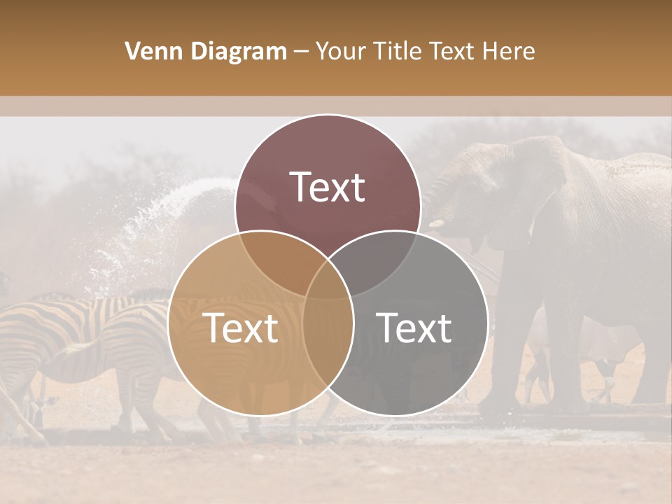 Playing Giraffe Blow PowerPoint Template