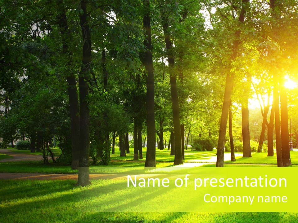 Rural Lush Area PowerPoint Template