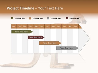 Carrying Red Small PowerPoint Template
