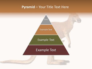 Carrying Red Small PowerPoint Template