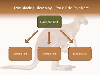 Carrying Red Small PowerPoint Template