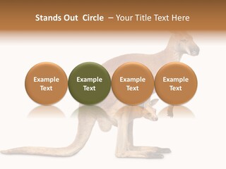 Carrying Red Small PowerPoint Template