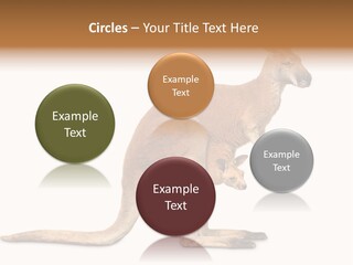 Carrying Red Small PowerPoint Template