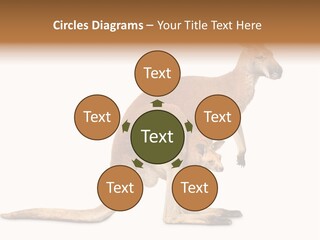 Carrying Red Small PowerPoint Template