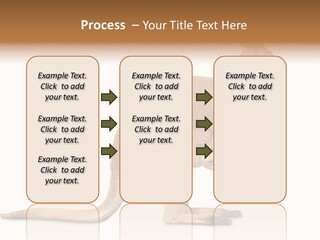 Carrying Red Small PowerPoint Template