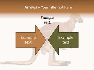 Carrying Red Small PowerPoint Template