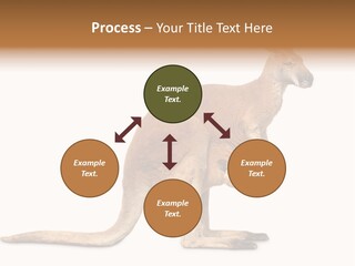 Carrying Red Small PowerPoint Template