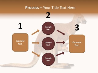 Carrying Red Small PowerPoint Template