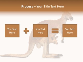 Carrying Red Small PowerPoint Template