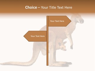 Carrying Red Small PowerPoint Template