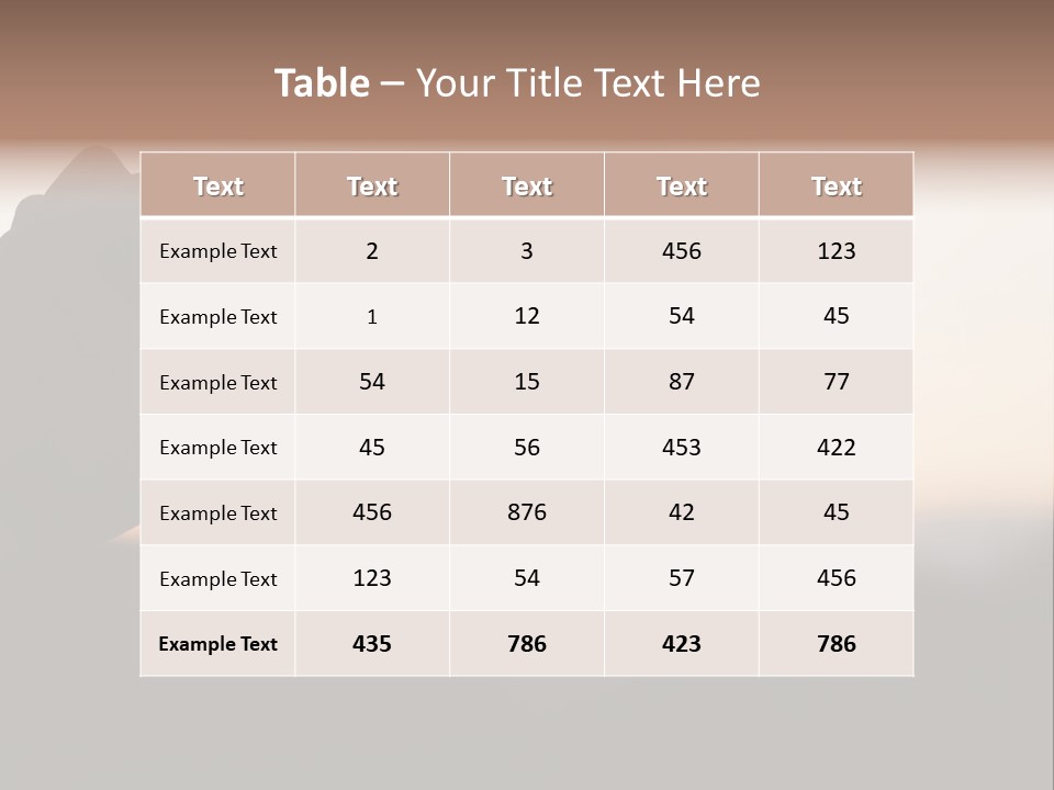 Paradise Airliner Huge PowerPoint Template