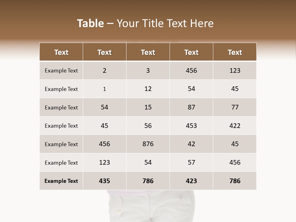 Li Ten Board Meeting PowerPoint Template