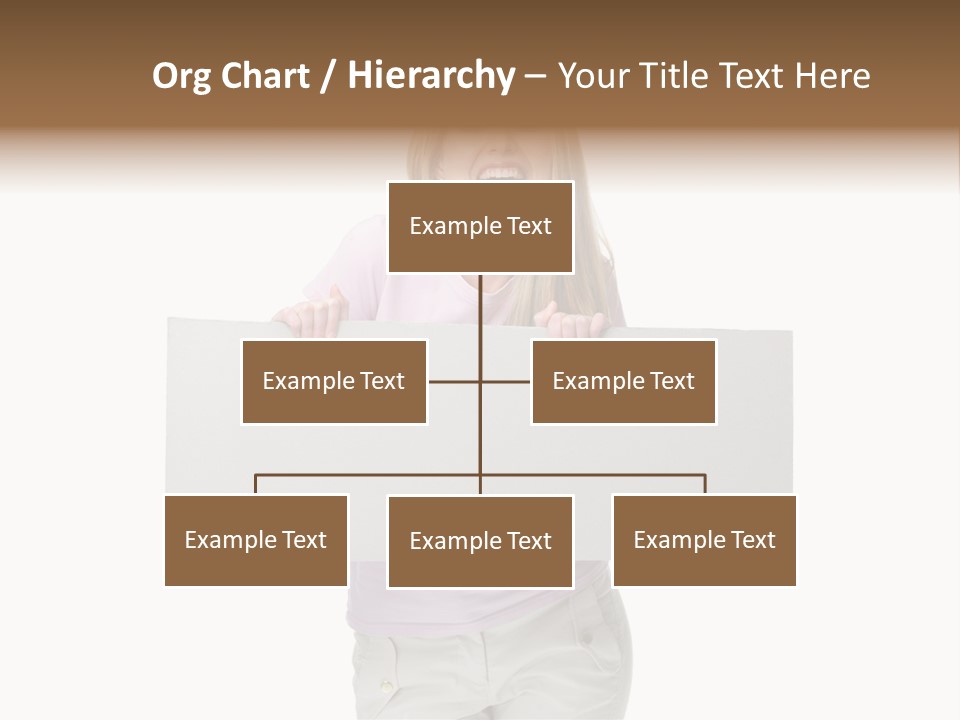 Li Ten Board Meeting PowerPoint Template