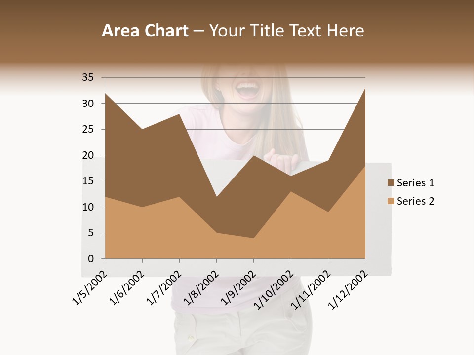 Li Ten Board Meeting PowerPoint Template
