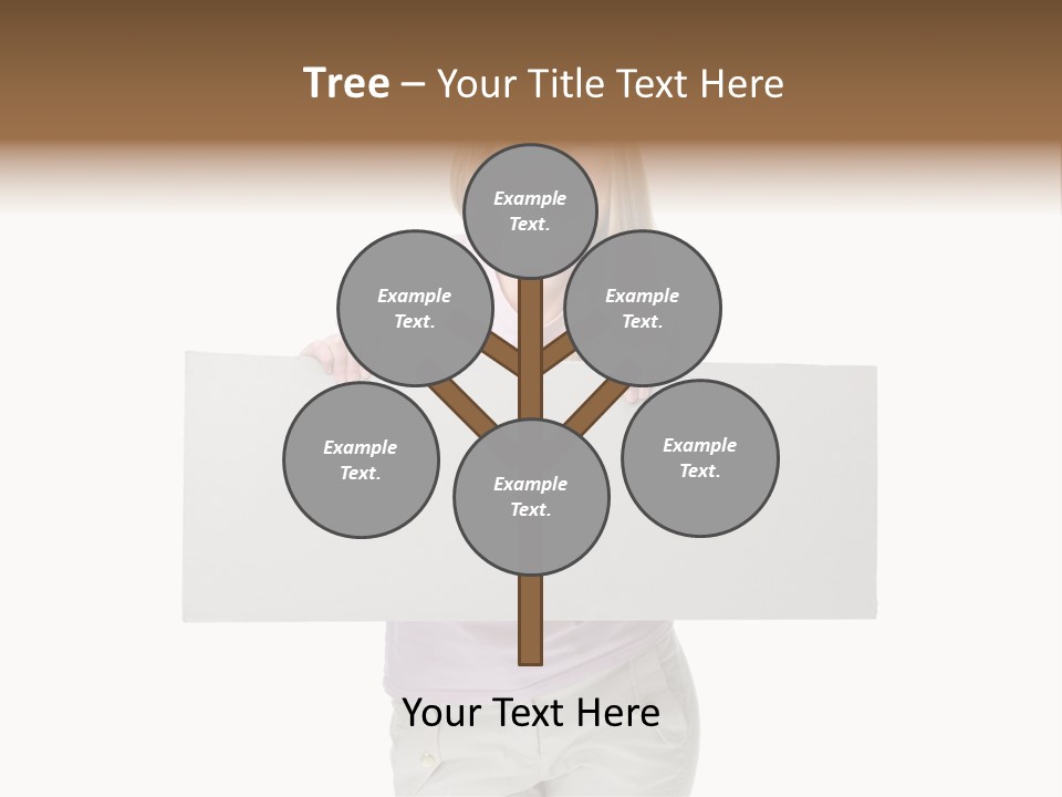 Li Ten Board Meeting PowerPoint Template