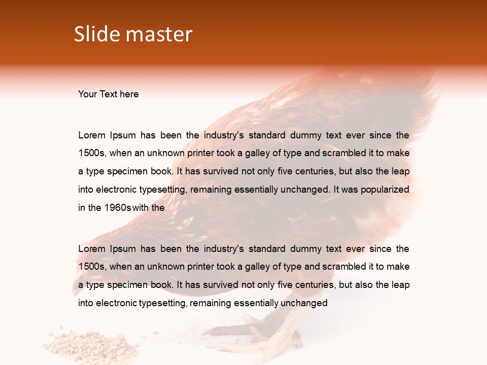 Hen One Isolated PowerPoint Template