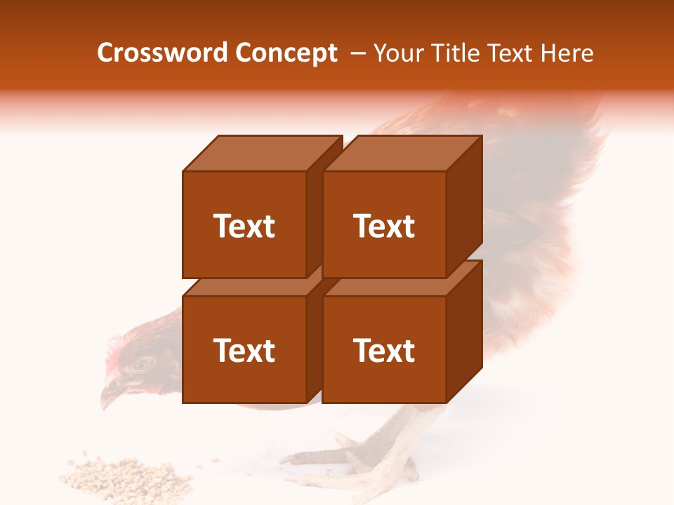 Hen One Isolated PowerPoint Template