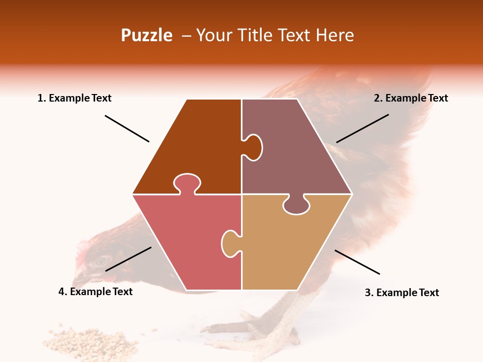 Hen One Isolated PowerPoint Template