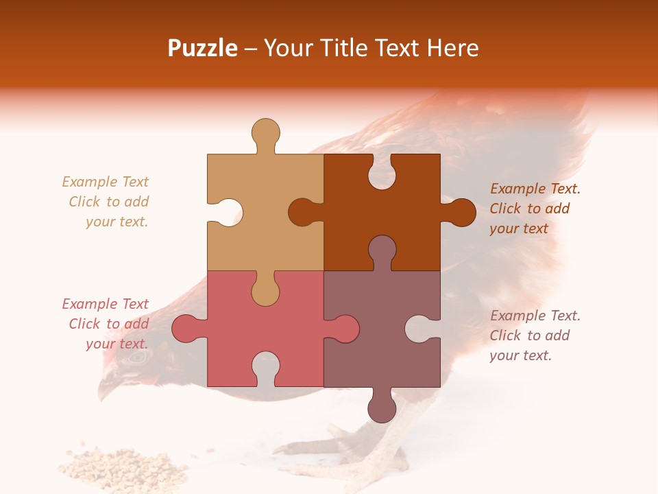 Hen One Isolated PowerPoint Template