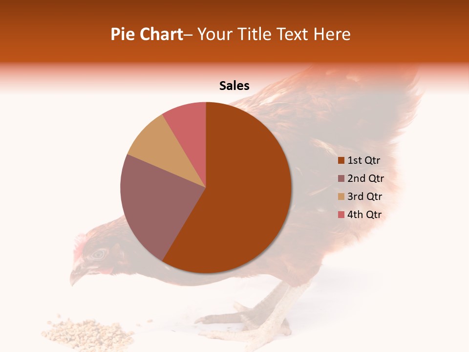 Hen One Isolated PowerPoint Template