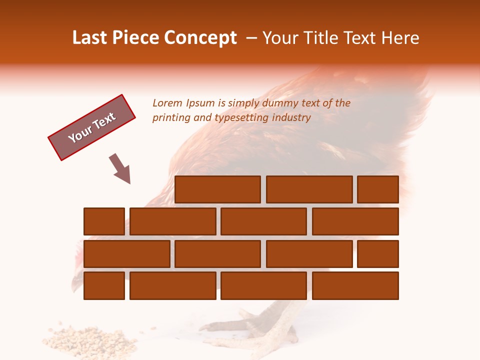 Hen One Isolated PowerPoint Template