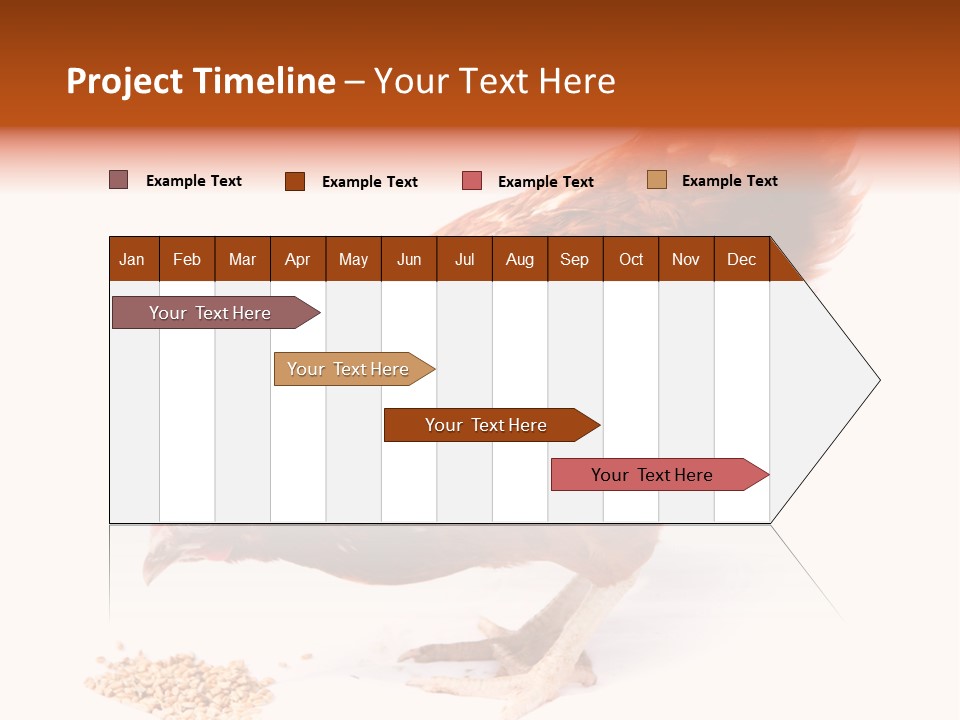 Hen One Isolated PowerPoint Template