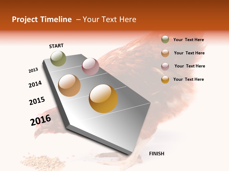 Hen One Isolated PowerPoint Template