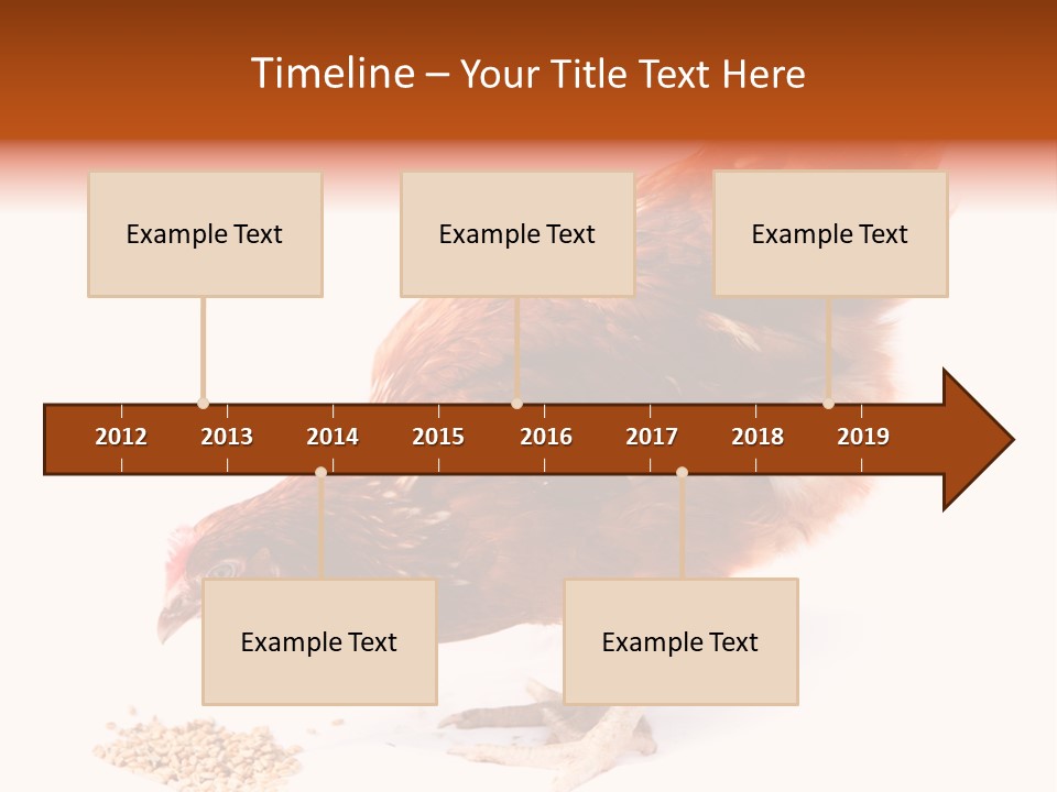 Hen One Isolated PowerPoint Template