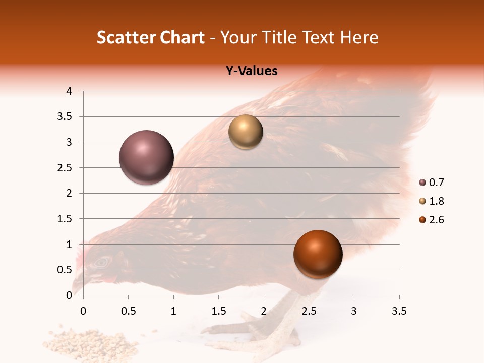 Hen One Isolated PowerPoint Template