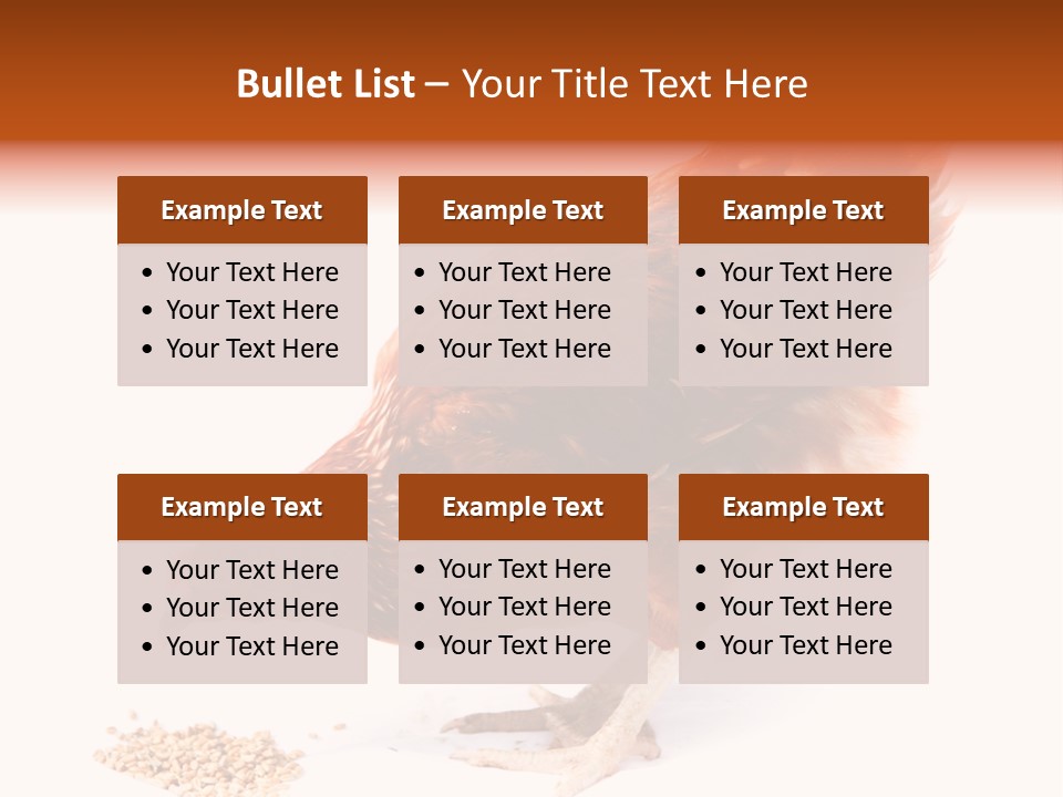 Hen One Isolated PowerPoint Template